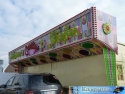 P1420223