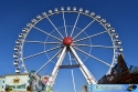 SDSC_7431