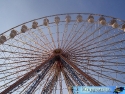 100_2077